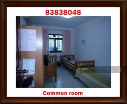 Blk 336 Tah Ching Road (Jurong West), HDB Executive #112232392